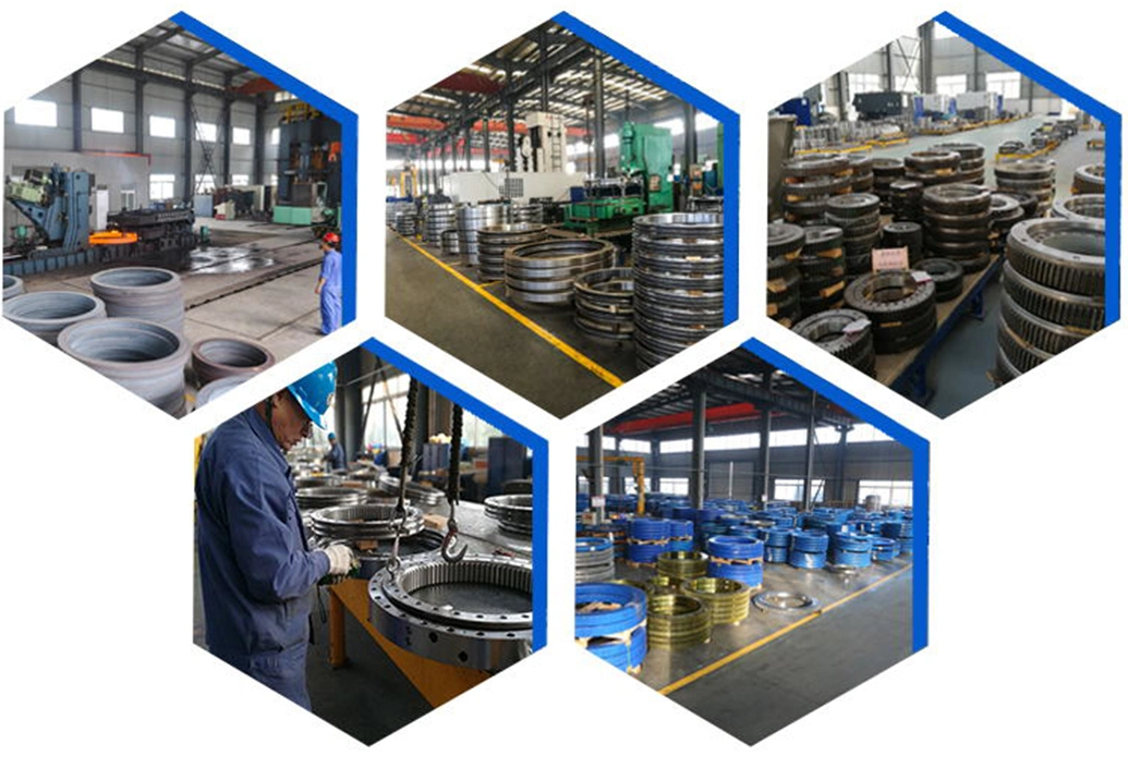 Customized Rotary Table Crane Slewing Ring Bearing